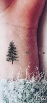 фото тату сосна от 31.07.2018 №135 — tattoo pine — tatufoto.com