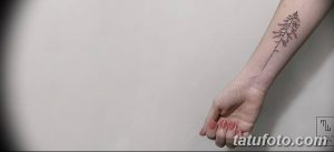 Фото тату: длинная татуировка ели, тянущаяся вдоль руки от запястья. Минималистичный и стильный дизайн.