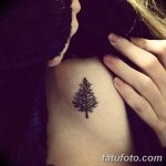фото тату сосна от 31.07.2018 №138 - tattoo pine - tatufoto.com