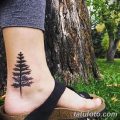 фото тату сосна от 31.07.2018 №139 - tattoo pine - tatufoto.com