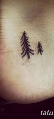 фото тату сосна от 31.07.2018 №140 — tattoo pine — tatufoto.com