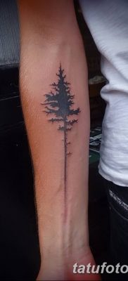 фото тату сосна от 31.07.2018 №146 — tattoo pine — tatufoto.com