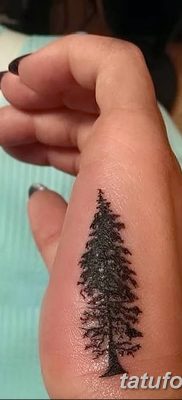 фото тату сосна от 31.07.2018 №151 — tattoo pine — tatufoto.com