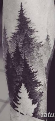 фото тату сосна от 31.07.2018 №152 — tattoo pine — tatufoto.com