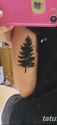 фото тату сосна от 31.07.2018 №153 — tattoo pine — tatufoto.com