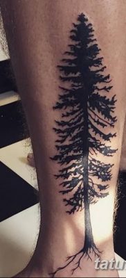 фото тату сосна от 31.07.2018 №154 — tattoo pine — tatufoto.com