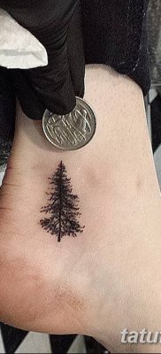 фото тату сосна от 31.07.2018 №155 — tattoo pine — tatufoto.com