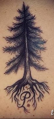 фото тату сосна от 31.07.2018 №159 — tattoo pine — tatufoto.com