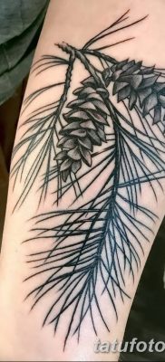 фото тату сосна от 31.07.2018 №160 — tattoo pine — tatufoto.com