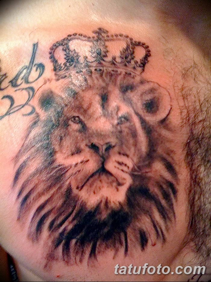 Тату Лев с короной на животе