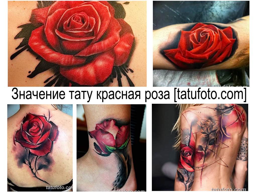 Значение тату красная роза - коллекция фото примеров готовых рисунков татуировки на теле