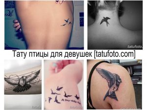 Фото коллажа с различными минималистичными татуировками птиц, расположенными на разных частях тела. Идеи для тату для девушек.