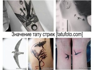 Фото коллажа с различными татуировками ласточек в разных стилях: минимализм, графика, геометрия. Идеи для вдохновения.