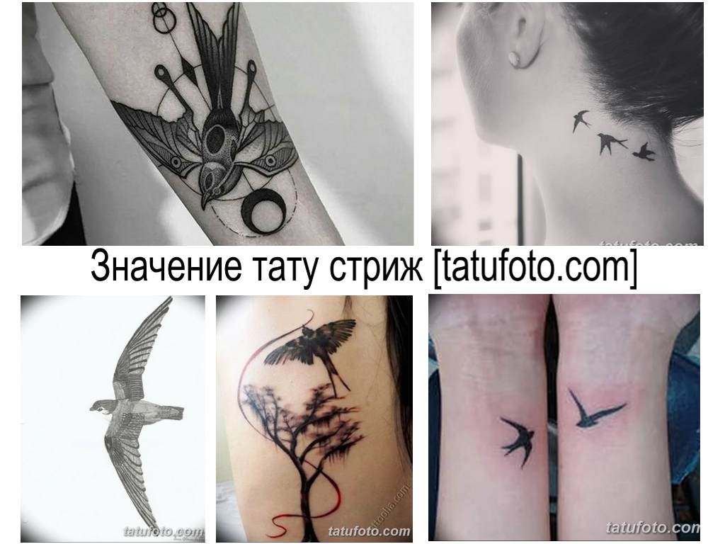 Значение тату стриж - фото примеры рисунков татуировки