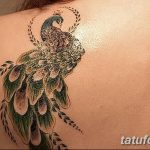 Фото Женские тату 25.08.2018 №073 - Women's Tattoo - tatufoto.com