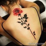 Фото Женские тату 25.08.2018 №123 - Women's Tattoo - tatufoto.com