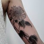 Фото Женские тату 25.08.2018 №602 - Women's Tattoo - tatufoto.com