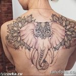 Фото Тату лайнворк от 17.08.2018 №112 - tattoo laynvork - tatufoto.com
