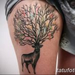 Фото Тату лайнворк от 17.08.2018 №179 - tattoo laynvork - tatufoto.com