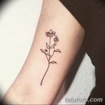 Фото Тату лайнворк от 17.08.2018 №183 - tattoo laynvork - tatufoto.com