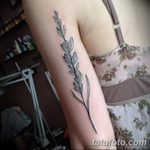 Фото Тату лайнворк от 17.08.2018 №243 - tattoo laynvork - tatufoto.com