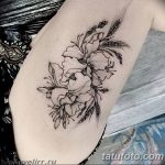 Фото Тату лайнворк от 17.08.2018 №278 - tattoo laynvork - tatufoto.com