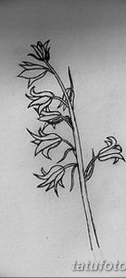 Фото рисунок тату цветок колокольчик от 10.08.2018 №003 — flower bell tatto — tatufoto.com