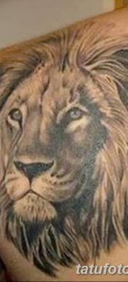 Фото тату голова льва от 08.08.2018 №002 — tattoo head of a lion — tatufoto.com