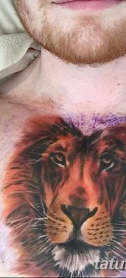Фото тату голова льва от 08.08.2018 №004 — tattoo head of a lion — tatufoto.com