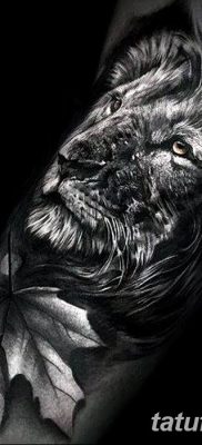 Фото тату голова льва от 08.08.2018 №006 — tattoo head of a lion — tatufoto.com