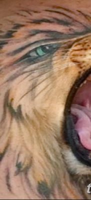 Фото тату голова льва от 08.08.2018 №009 — tattoo head of a lion — tatufoto.com