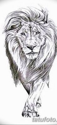 Фото тату голова льва от 08.08.2018 №015 — tattoo head of a lion — tatufoto.com