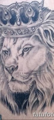 Фото тату голова льва от 08.08.2018 №018 — tattoo head of a lion — tatufoto.com