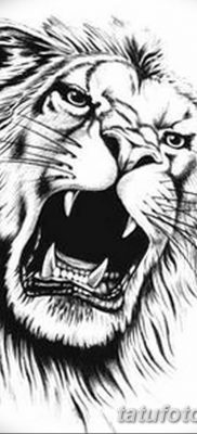 Фото тату голова льва от 08.08.2018 №019 — tattoo head of a lion — tatufoto.com