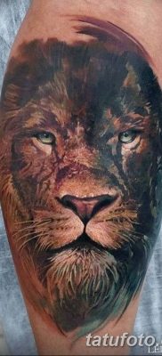 Фото тату голова льва от 08.08.2018 №024 — tattoo head of a lion — tatufoto.com