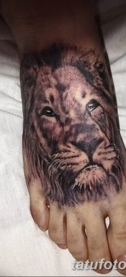 Фото тату голова льва от 08.08.2018 №025 — tattoo head of a lion — tatufoto.com