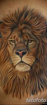 Фото тату голова льва от 08.08.2018 №027 — tattoo head of a lion — tatufoto.com