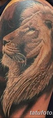 Фото тату голова льва от 08.08.2018 №028 — tattoo head of a lion — tatufoto.com