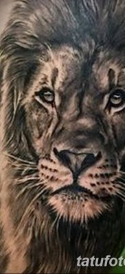 Фото тату голова льва от 08.08.2018 №029 — tattoo head of a lion — tatufoto.com