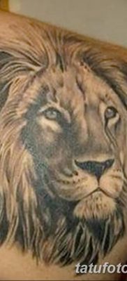 Фото тату голова льва от 08.08.2018 №030 — tattoo head of a lion — tatufoto.com