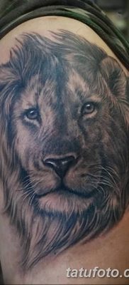 Фото тату голова льва от 08.08.2018 №031 — tattoo head of a lion — tatufoto.com
