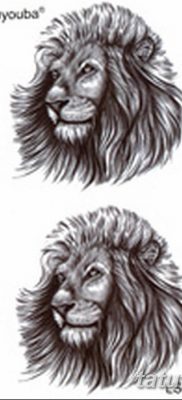 Фото тату голова льва от 08.08.2018 №032 — tattoo head of a lion — tatufoto.com