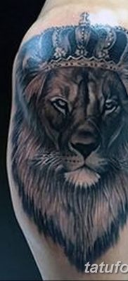 Фото тату голова льва от 08.08.2018 №034 — tattoo head of a lion — tatufoto.com