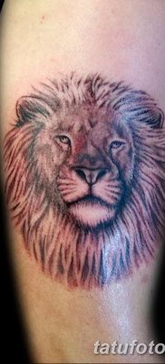 Фото тату голова льва от 08.08.2018 №035 — tattoo head of a lion — tatufoto.com