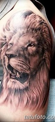 Фото тату голова льва от 08.08.2018 №036 — tattoo head of a lion — tatufoto.com