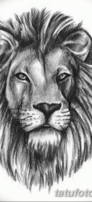 Фото тату голова льва от 08.08.2018 №038 — tattoo head of a lion — tatufoto.com