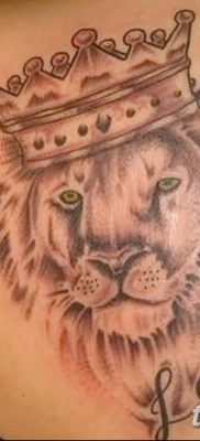 Фото тату голова льва от 08.08.2018 №039 — tattoo head of a lion — tatufoto.com