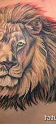 Фото тату голова льва от 08.08.2018 №041 — tattoo head of a lion — tatufoto.com