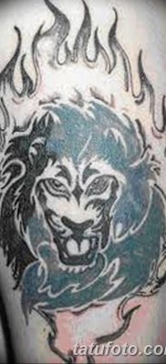 Фото тату голова льва от 08.08.2018 №042 — tattoo head of a lion — tatufoto.com