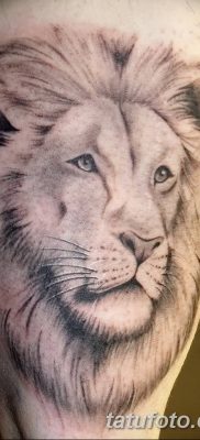 Фото тату голова льва от 08.08.2018 №047 — tattoo head of a lion — tatufoto.com